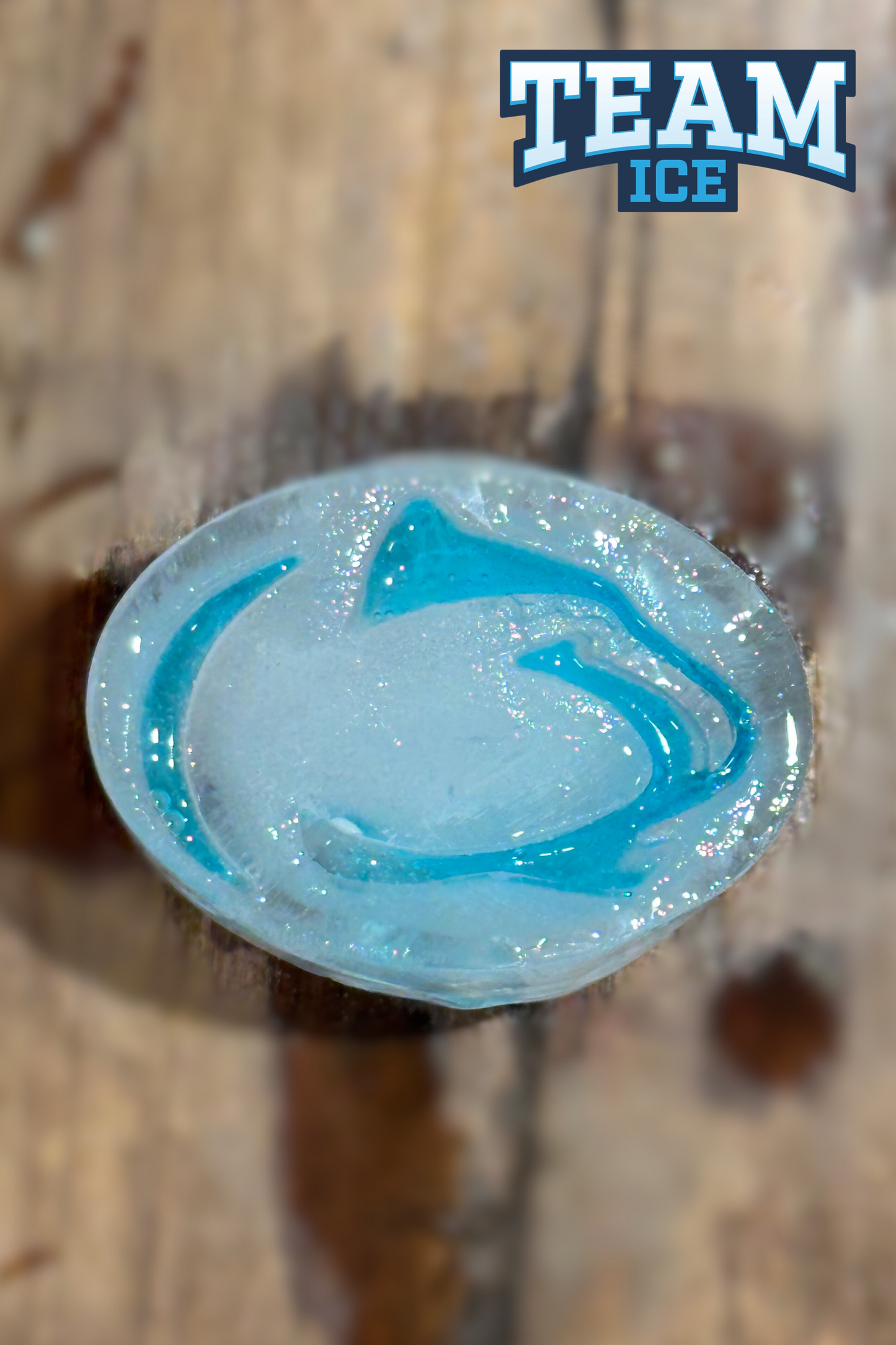 Large Penn State Ice Molds