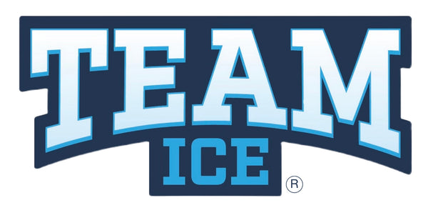 Team Ice Store
