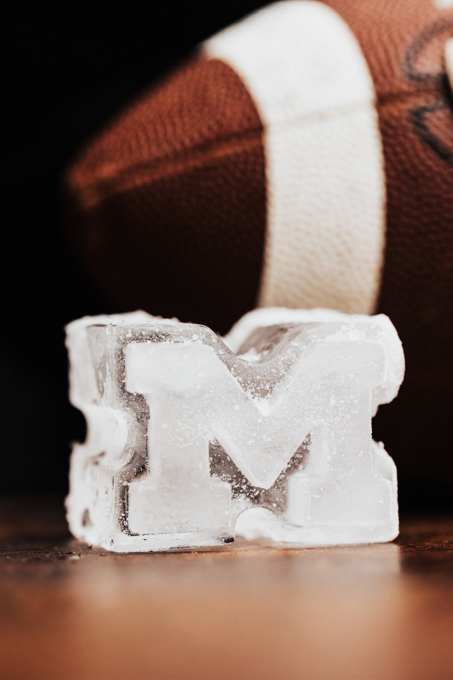 Large Ole Miss Ice Molds