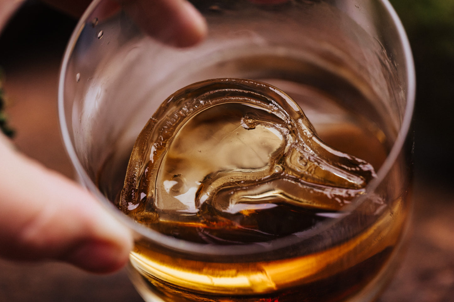 Ducks Unlimited Ice Mold